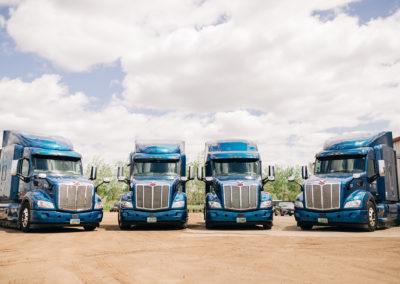 Four Magnum Trucks
